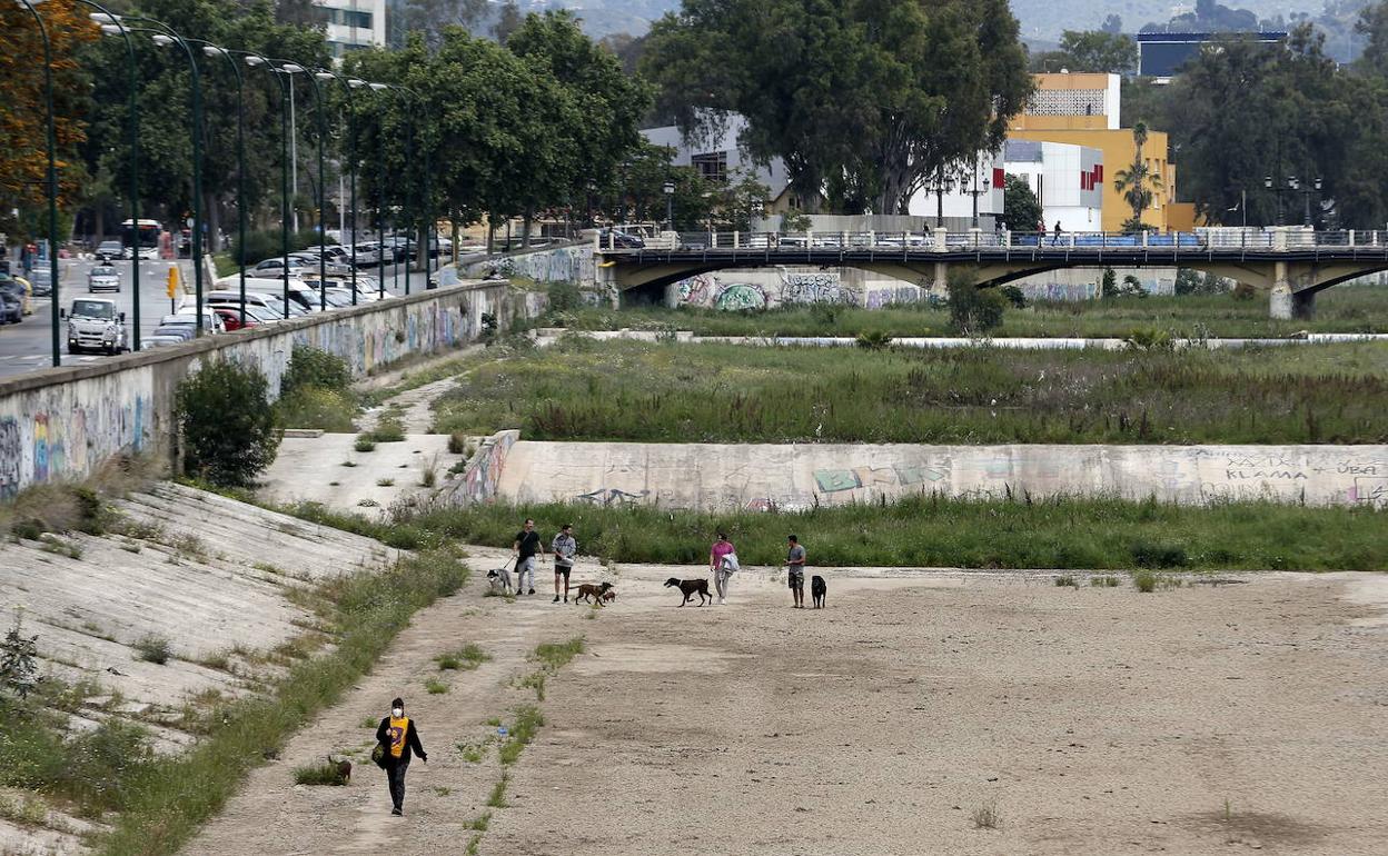 Vecinos pasean a sus perros en el cauce del río. 