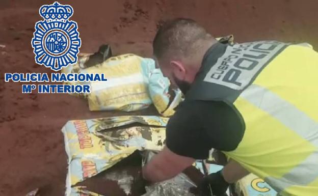 Incautan 320 kilos de cogollos de marihuana ocultos en sacos de sustrato para plantas de una importante red asentada en Málaga