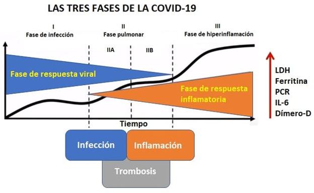 Figura 1. Las tres fases de la Covid-19. A medida que la enfermedad se agrava aumentan determinados parámetros analíticos como el dímero-D, indicador de la existencia de niveles anormales de fibrina y, por tanto, de trombosis. 