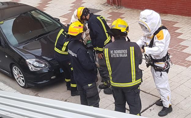 Imagen principal - Así retiran un enjambre de abejas de un edificio de la calle Martínez de la Rosa de Málaga capital