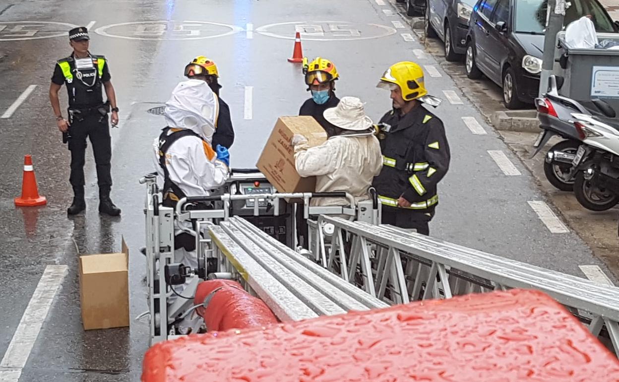 Así retiran un enjambre de abejas de un edificio de la calle Martínez de la Rosa de Málaga capital