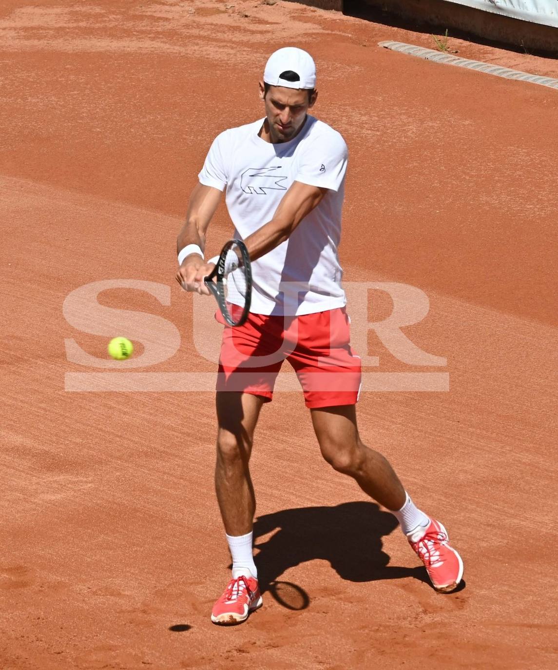 Fotos: Djokovic regresa a los entrenamientos en Puente Romano