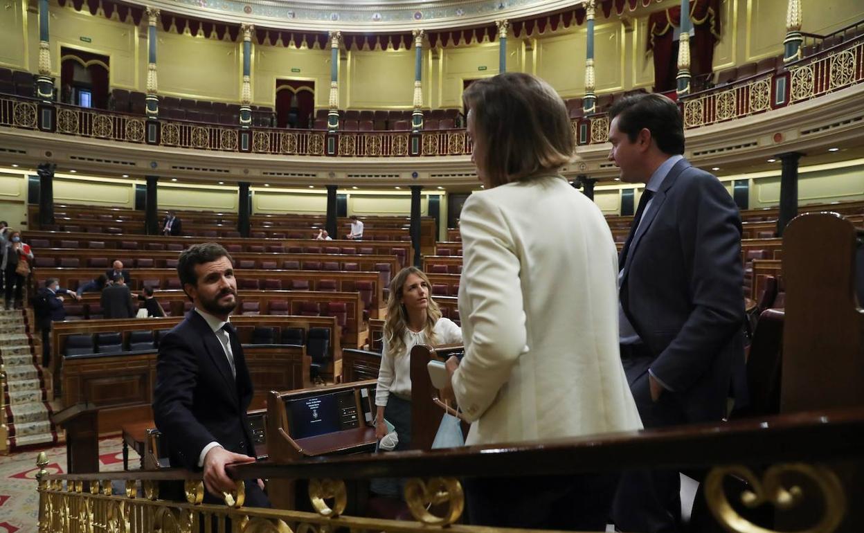 El pp ve la legislatura herida y augura la quiebra de la coalición de gobierno | diario sur