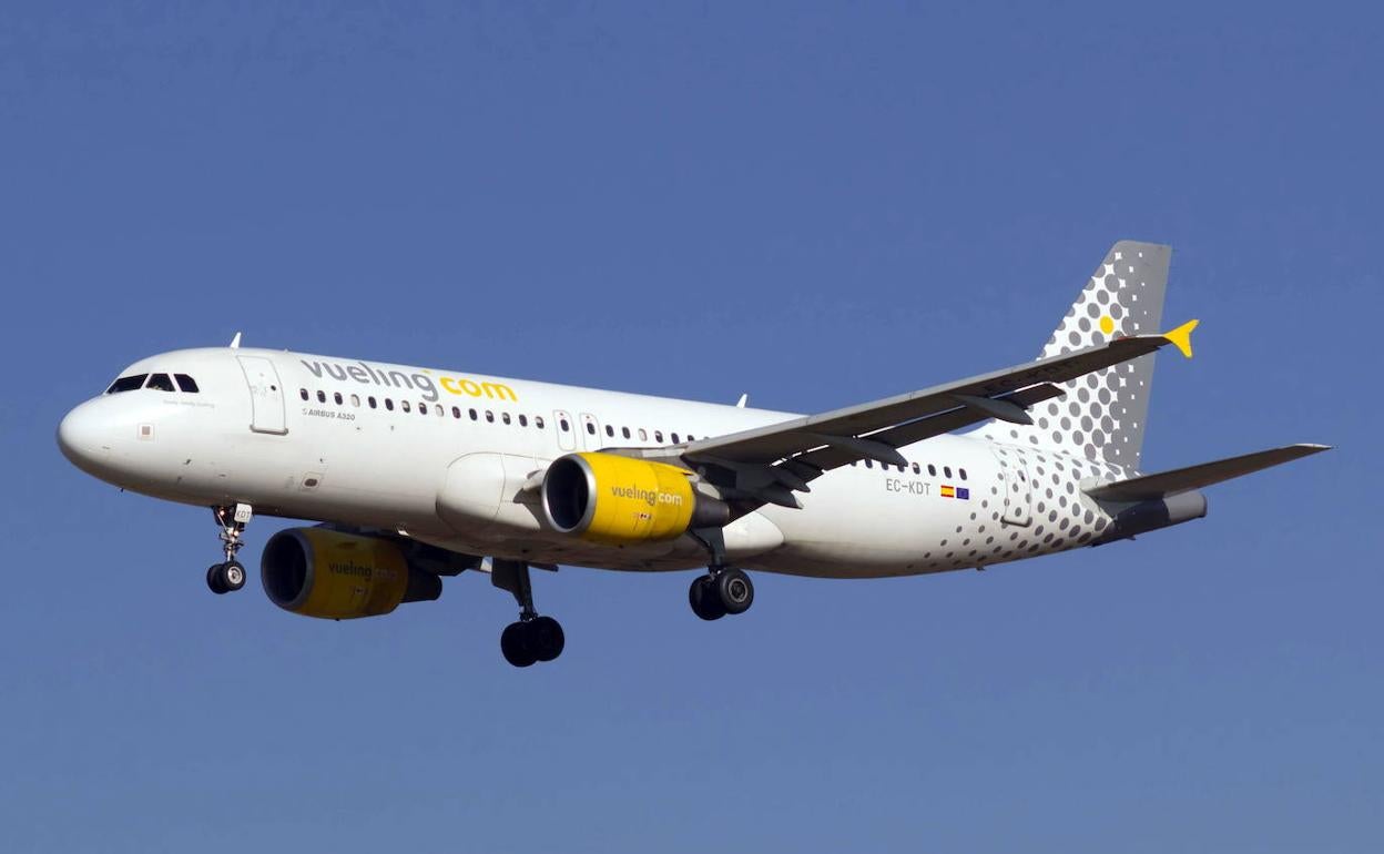 Avión de Vueling a punto de aterrizar en Málaga. 