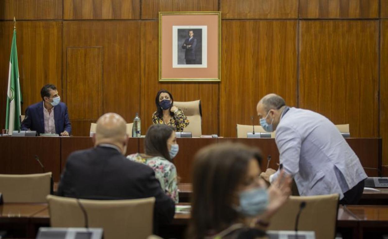 Comisión de Estudio sobre la recuperación económica y social de Andalucía a causa de la pandemia