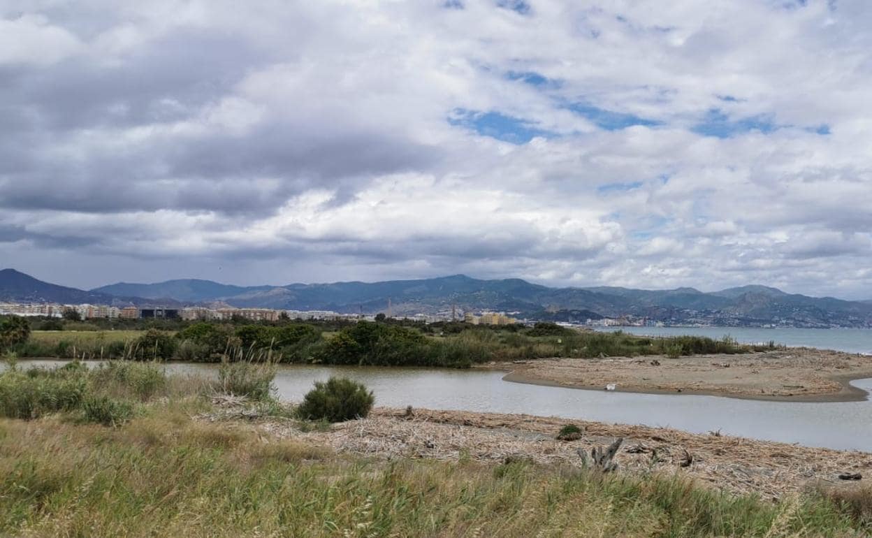 Detenido por masturbarse en la playa de Guadalmar en presencia de varios  niños | Diario Sur