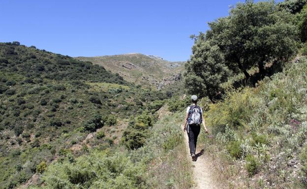 Senderista en una de las etapas de la Gran Senda de Málaga. .