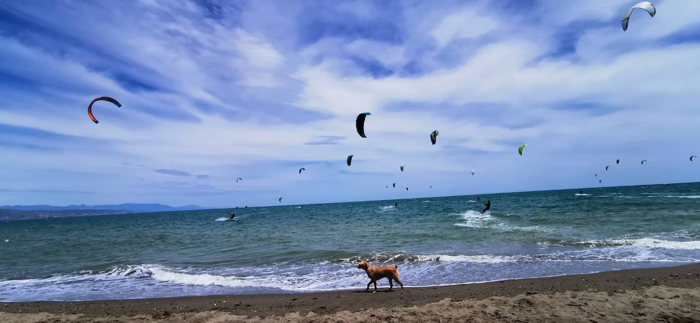 Los aficionados a los deportes de viento también han aprovechado este sábado. 