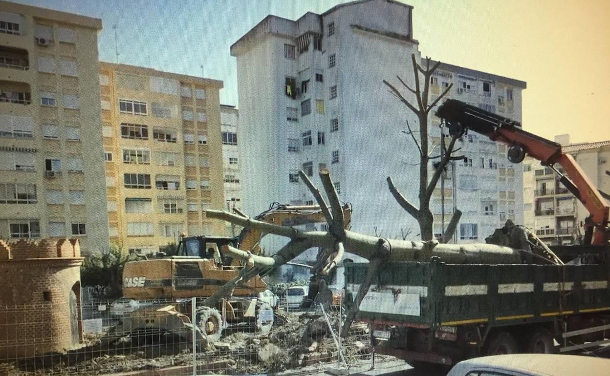 Retirada de árboles en la plaza del Ajedrez donde se construirá el aparcamiento 