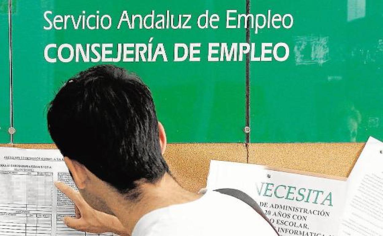 Requisitos para acceder a un contrato del plan de empleo AIRE de la Junta