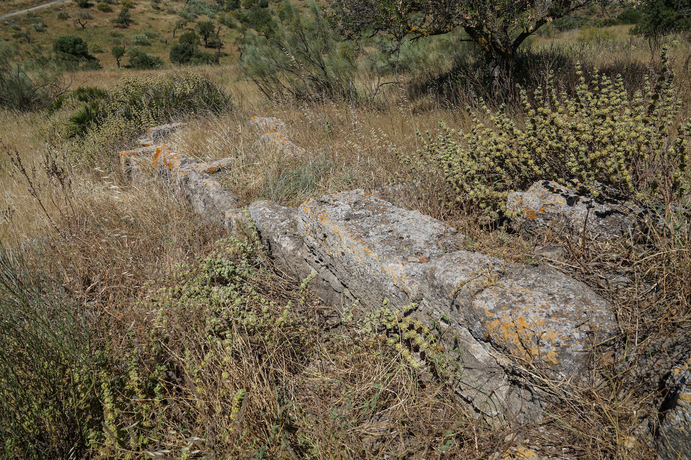 Fotos: Bobastro, el otro caminito del rey, en fotos