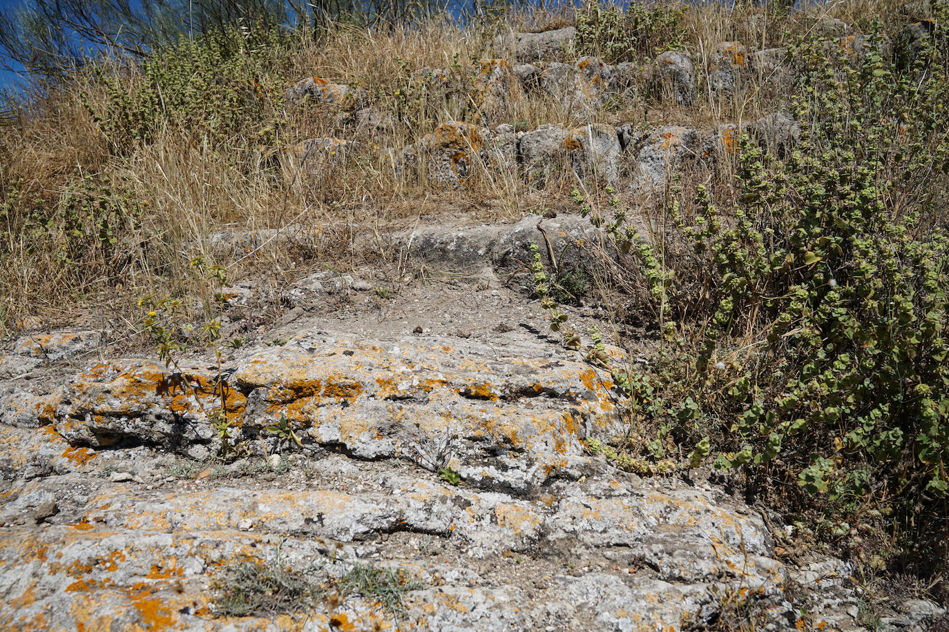 Fotos: Bobastro, el otro caminito del rey, en fotos
