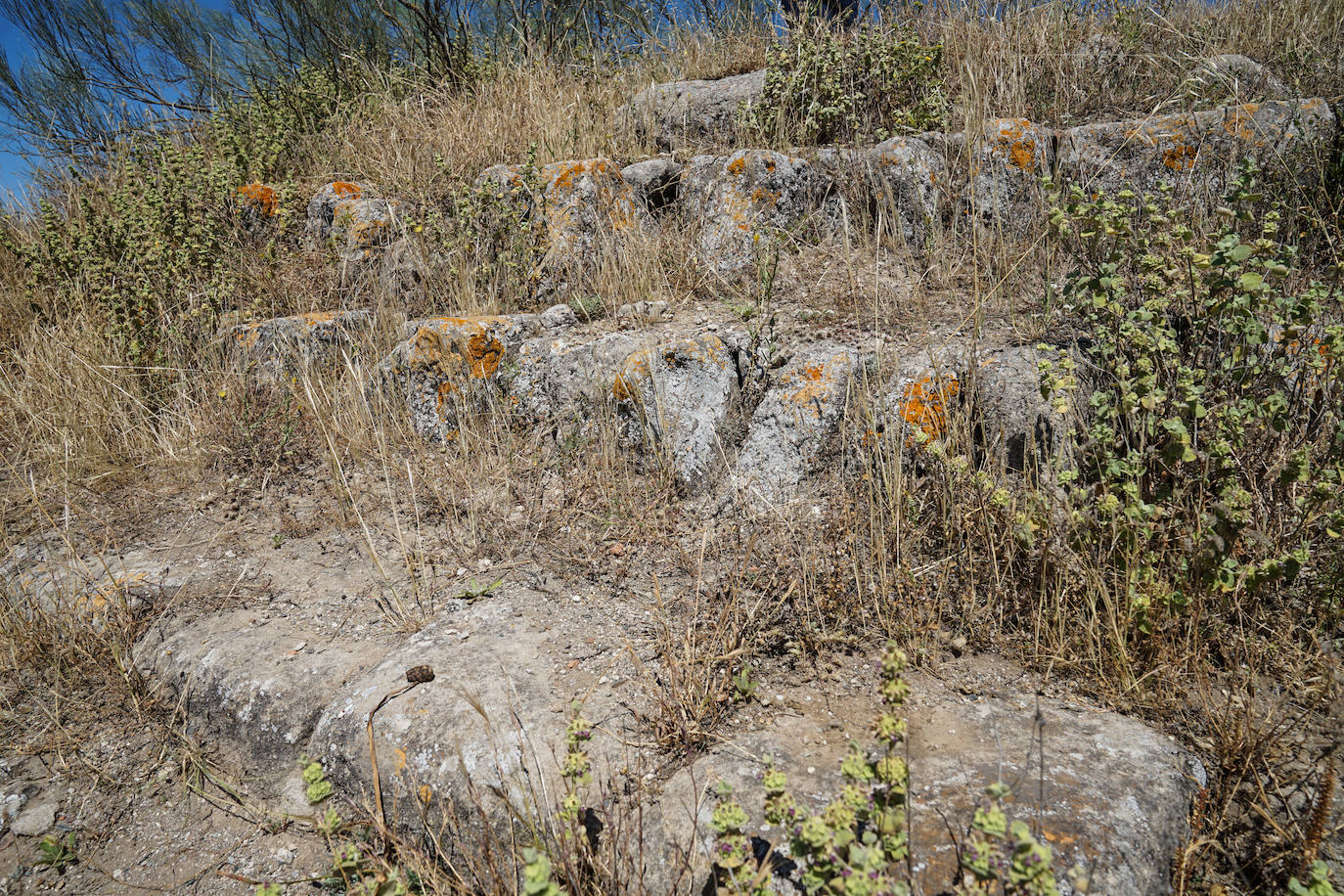 Fotos: Bobastro, el otro caminito del rey, en fotos