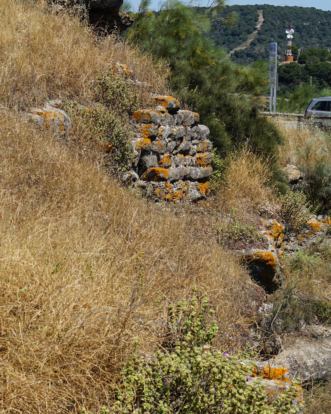 Fotos: Bobastro, el otro caminito del rey, en fotos