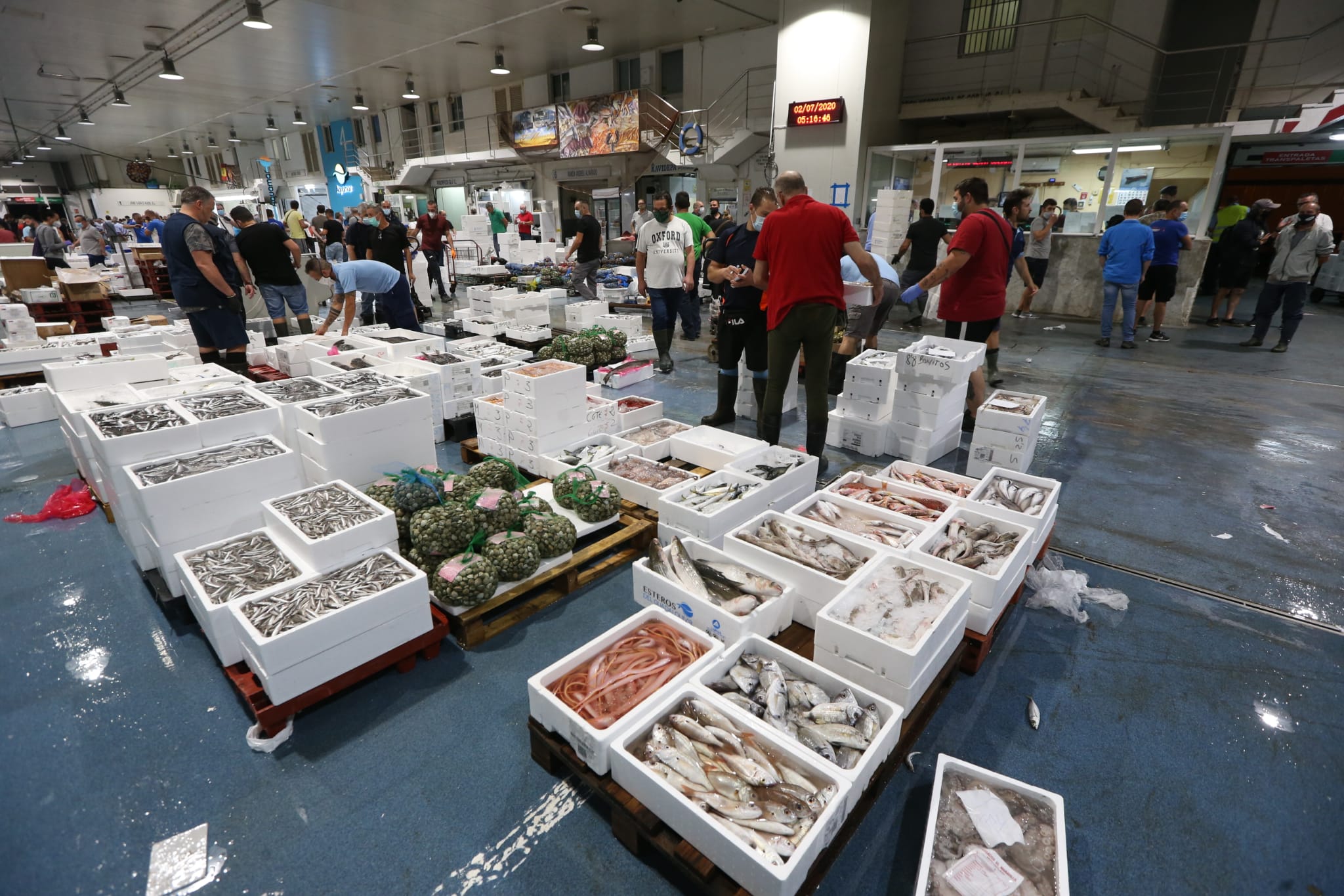 Varios puestos de Mercamálaga, realizan a diario el espectacular despiece de esta especie tan apreciada en el mundo