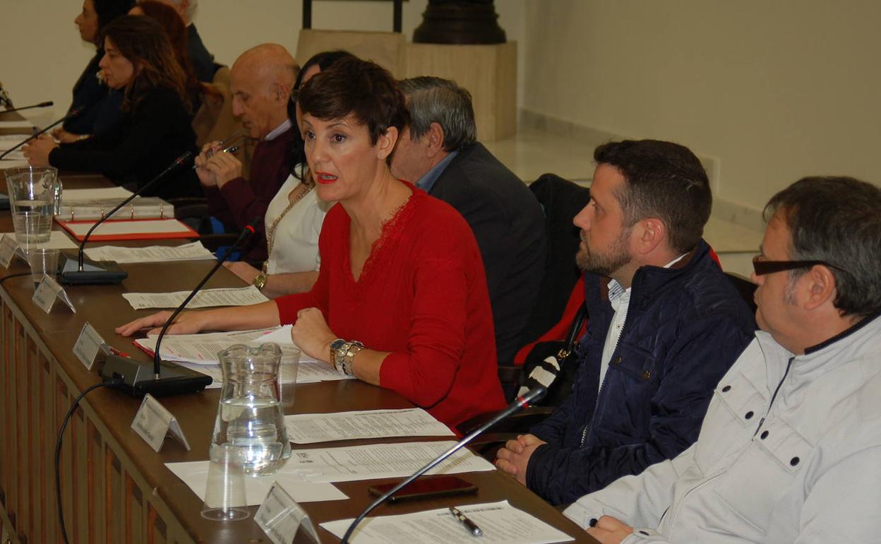Emma Molina, interviene en un pleno 