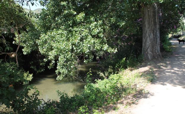 Imagen principal - El Turón siempre quedará a la izquierda. Buena parte del camino cuenta con vallas de madera. El camino es idóneo para iniciar a los más pequeños en el senderismo fluvial.