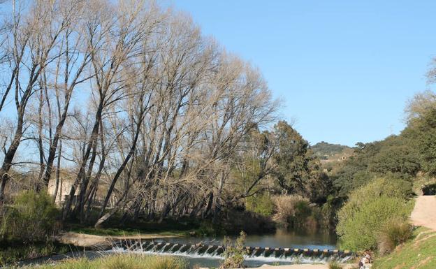 Imagen principal - Salto del agua del río Guadiaro en la Estación de Benaoján. Espectacular poza del Guadiaro frente a la Estación de Benaojá. La vegetación es frondosa en algunos puntos del itinerario.