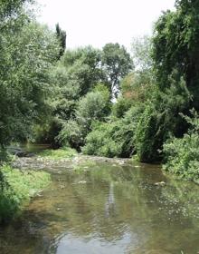 Imagen secundaria 2 - Salto del agua del río Guadiaro en la Estación de Benaoján. Espectacular poza del Guadiaro frente a la Estación de Benaojá. La vegetación es frondosa en algunos puntos del itinerario.