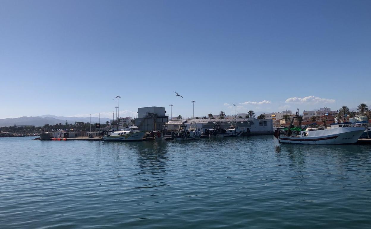 Embarcaciones de arrastre del puerto de Caleta de Vélez, ayer, desembarcando las capturas en la lonja. 