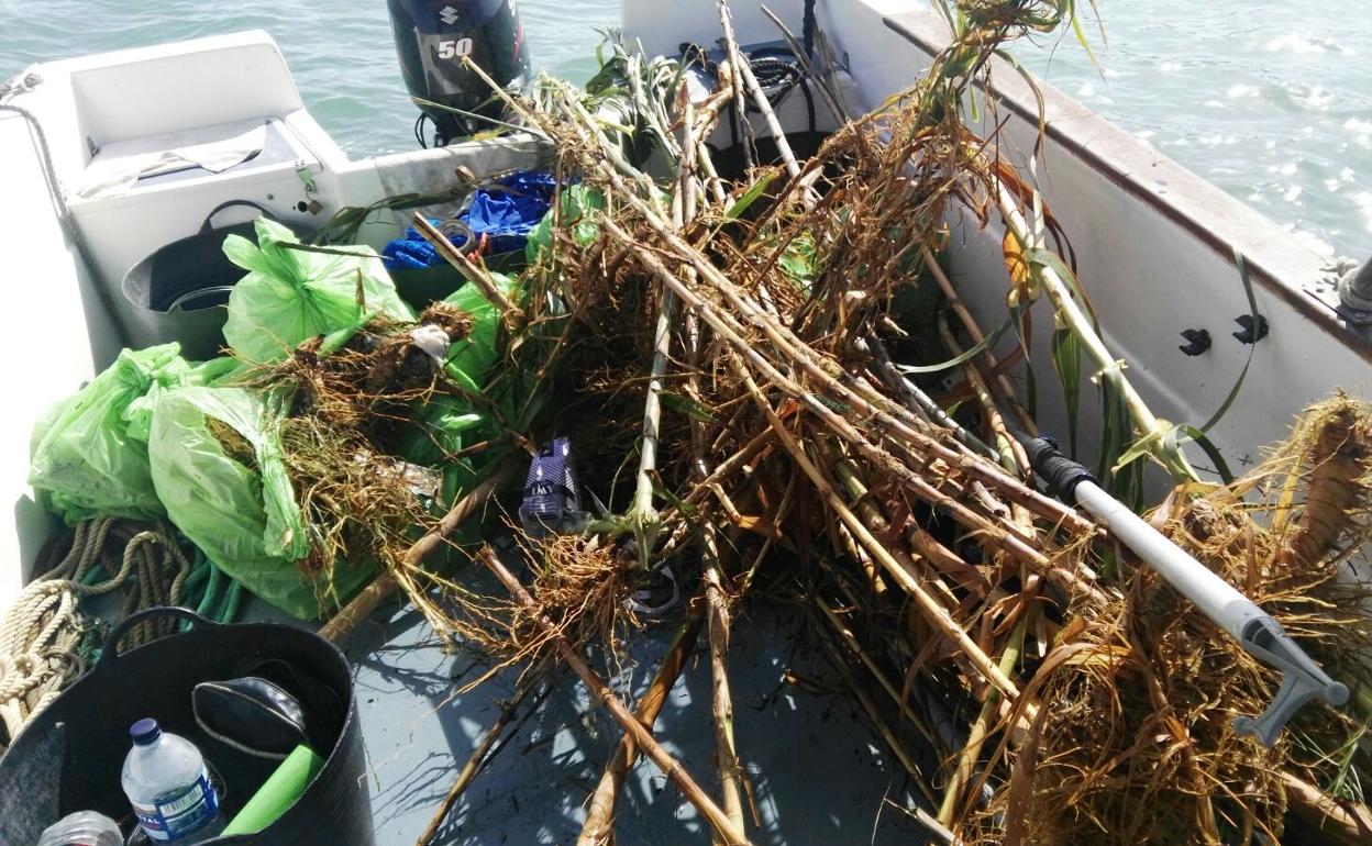 Diez embarcaciones se encargan de la limpieza de playas. 