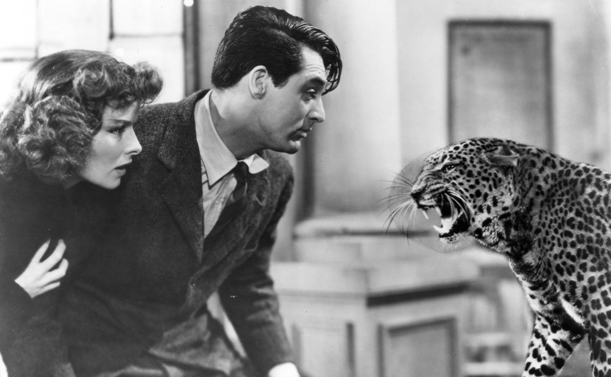 El leopardo 'Baby' es durante el filme una de las excusas para crear situaciones cómicas entre sus protagonistas, Hepburn y Grant