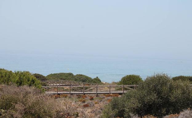 Sendero habilitado en las Dunas de Artola (Marbella). 