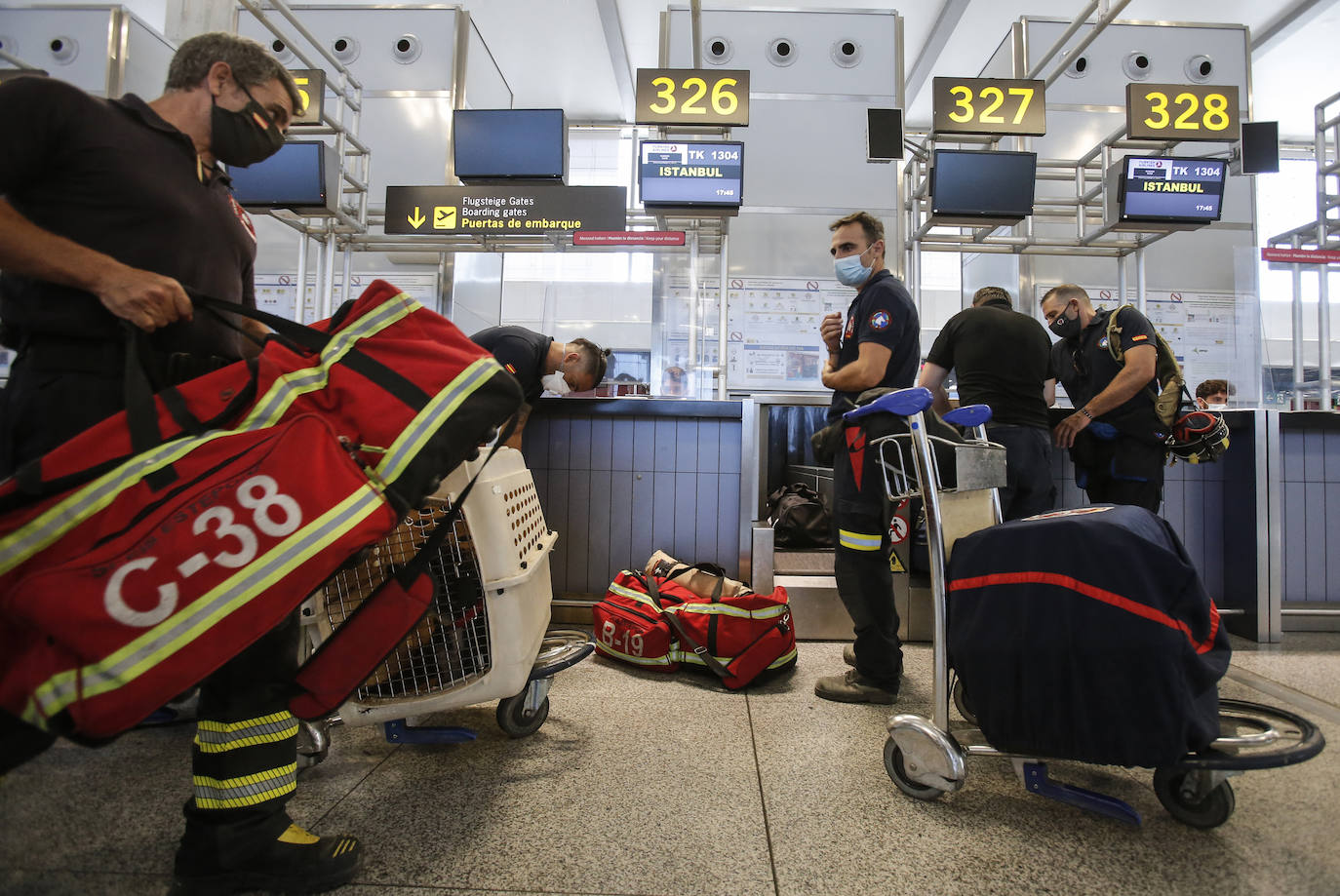 Tres efectivos del Consorcio de Bomberos de Málaga viajan Beirut junto a otros dos compañeros y cuatro perros entrenados para intervenir catástrofes.