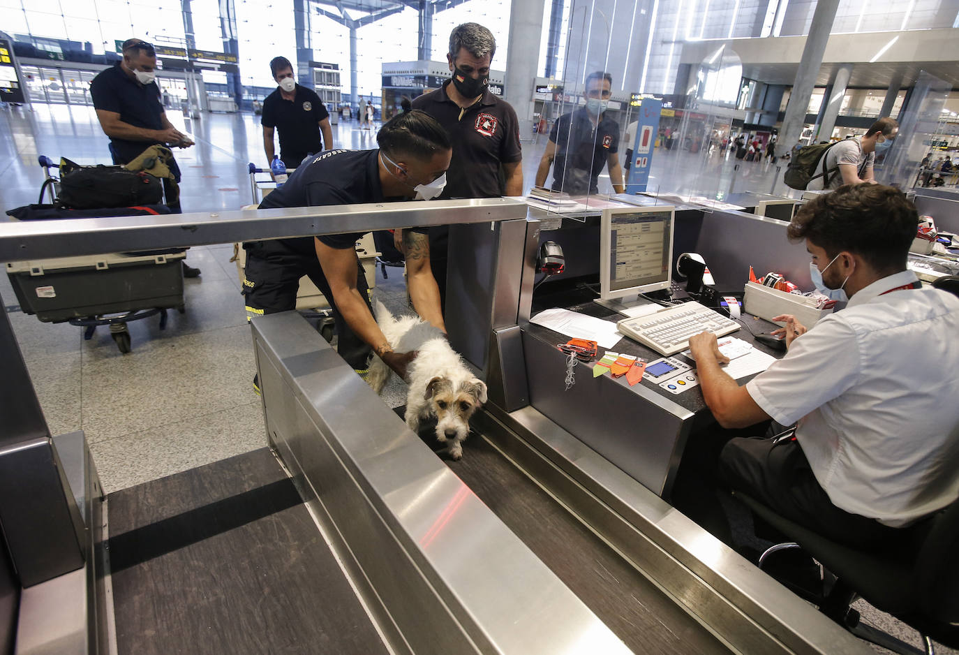 Tres efectivos del Consorcio de Bomberos de Málaga viajan Beirut junto a otros dos compañeros y cuatro perros entrenados para intervenir catástrofes.