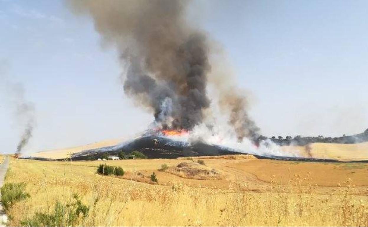 Extinguido el incendio forestal en Ronda, en la zona de Los Villalones