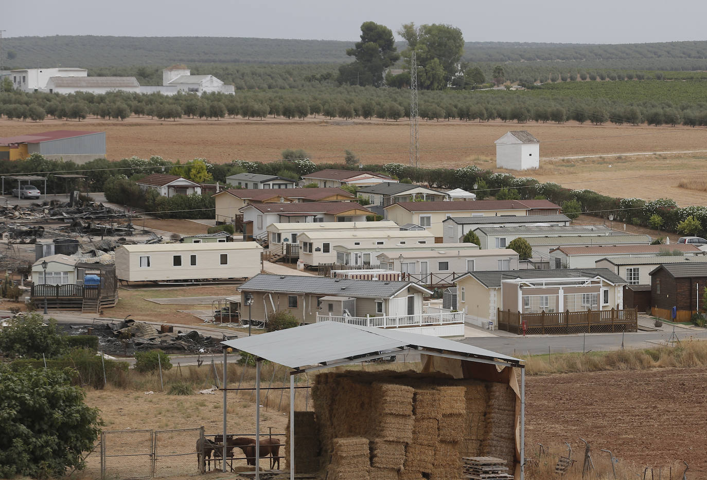 Mollina se vuelca con los más de 70 vecinos desalojados del camping Lazy Days Pueblo Fiesta, en el que 40 casas quedaron totalmente destruidas