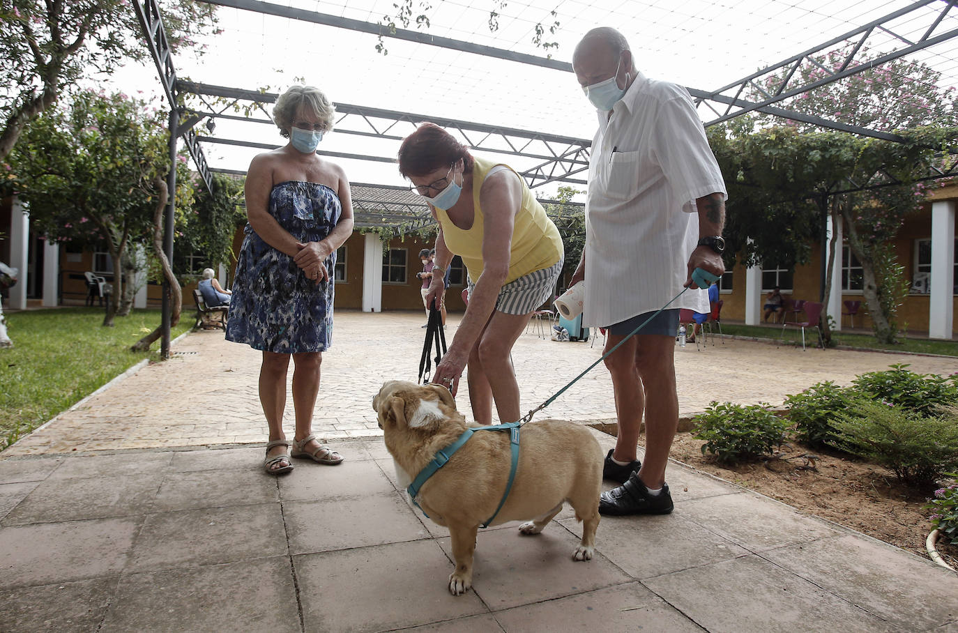 Mollina se vuelca con los más de 70 vecinos desalojados del camping Lazy Days Pueblo Fiesta, en el que 40 casas quedaron totalmente destruidas