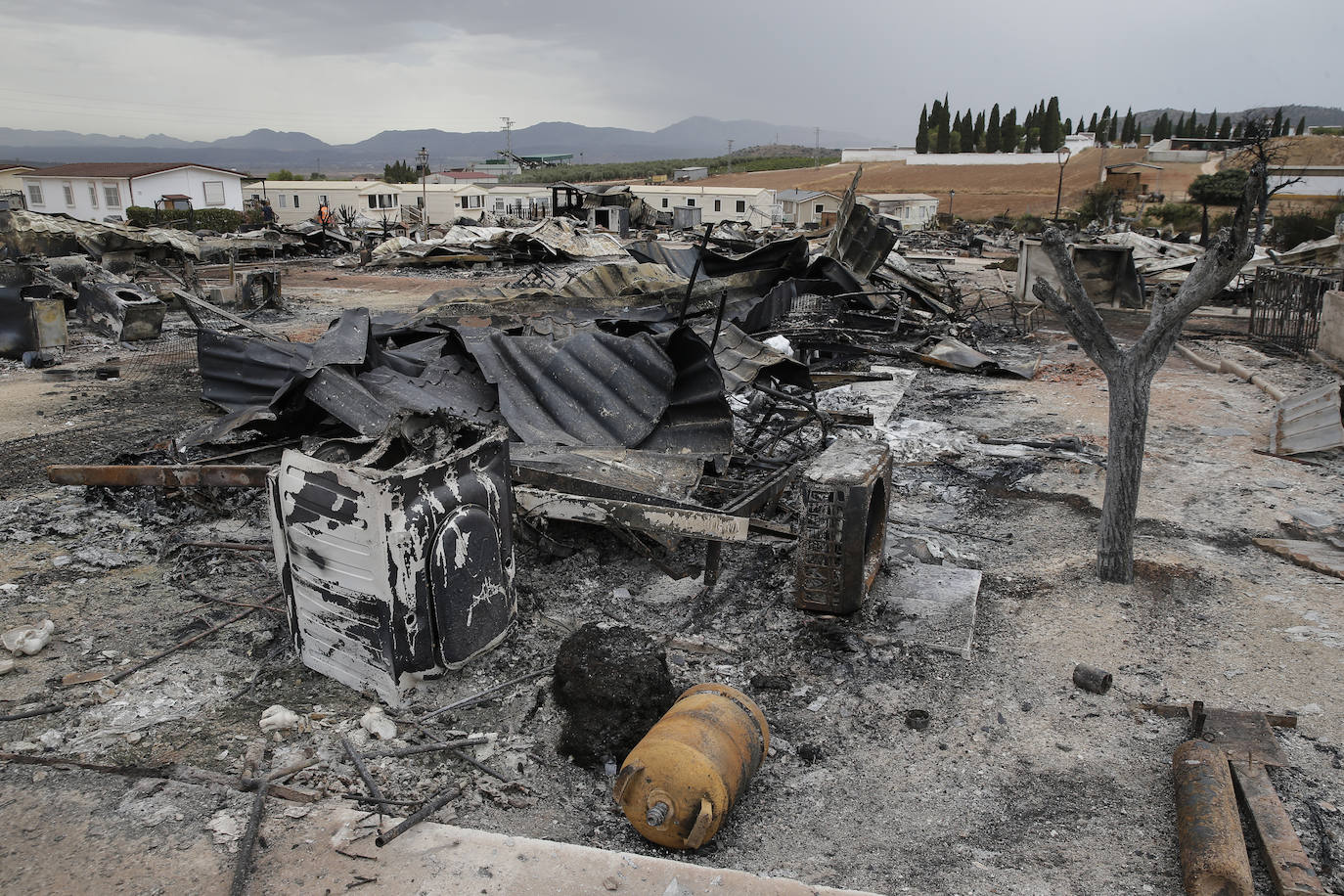 Mollina se vuelca con los más de 70 vecinos desalojados del camping Lazy Days Pueblo Fiesta, en el que 40 casas quedaron totalmente destruidas