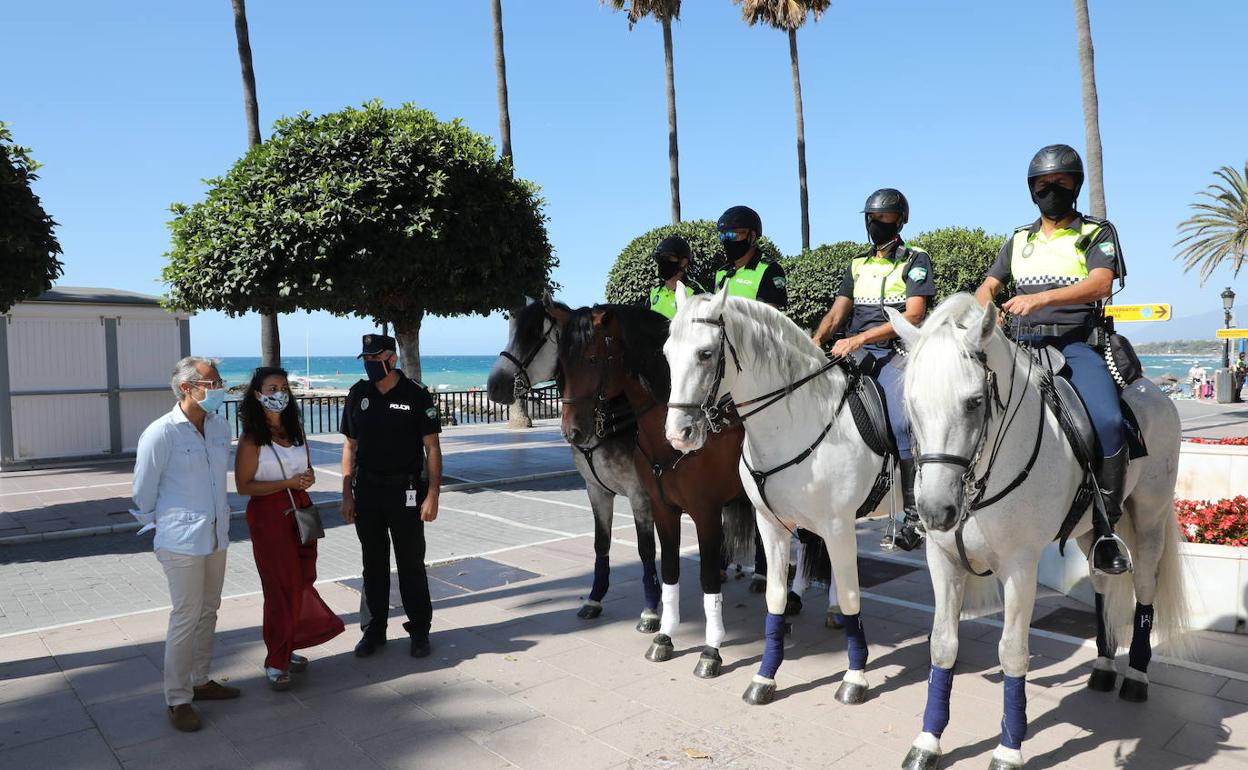 Los cuatro nuevos caballos que se incorporan al escuadrón 