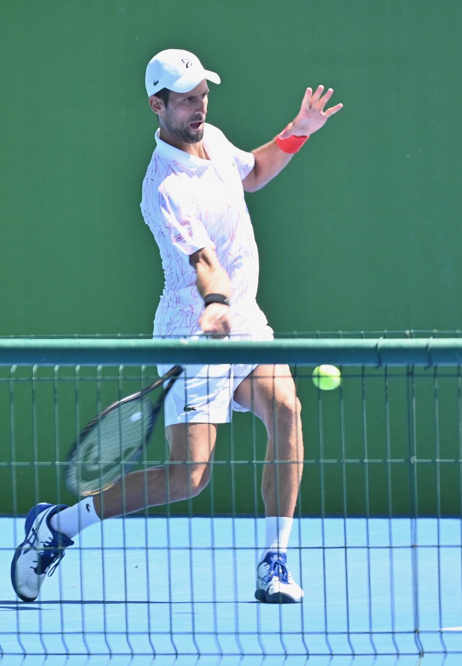 Fotos: Djokovic prepara en Marbella su próxima gira por Estados Unidos