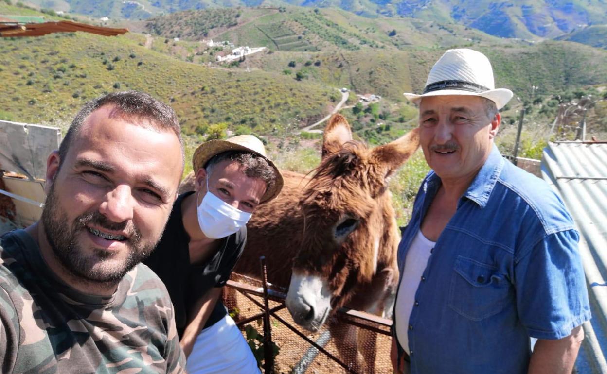 Daniel, Ismael y Antonio Fernández, con la burra Baldomera en su finca de El Borge. 