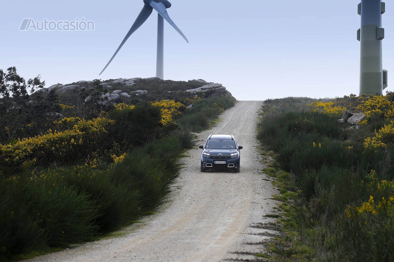 Fotos: Fotogalería: Citroën C5 Aircross BlueHDi 180