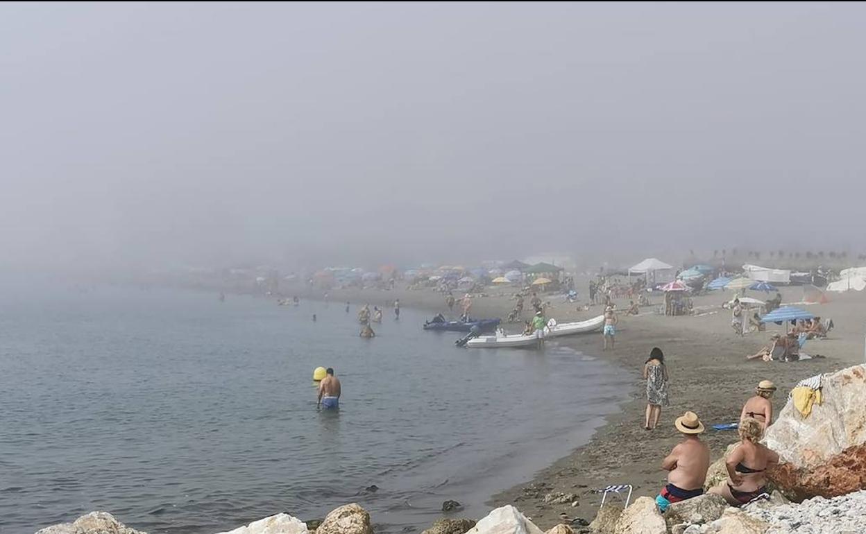 El taró cubre el litoral malagueño