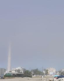 Imagen secundaria 2 - El taró cubre el litoral malagueño
