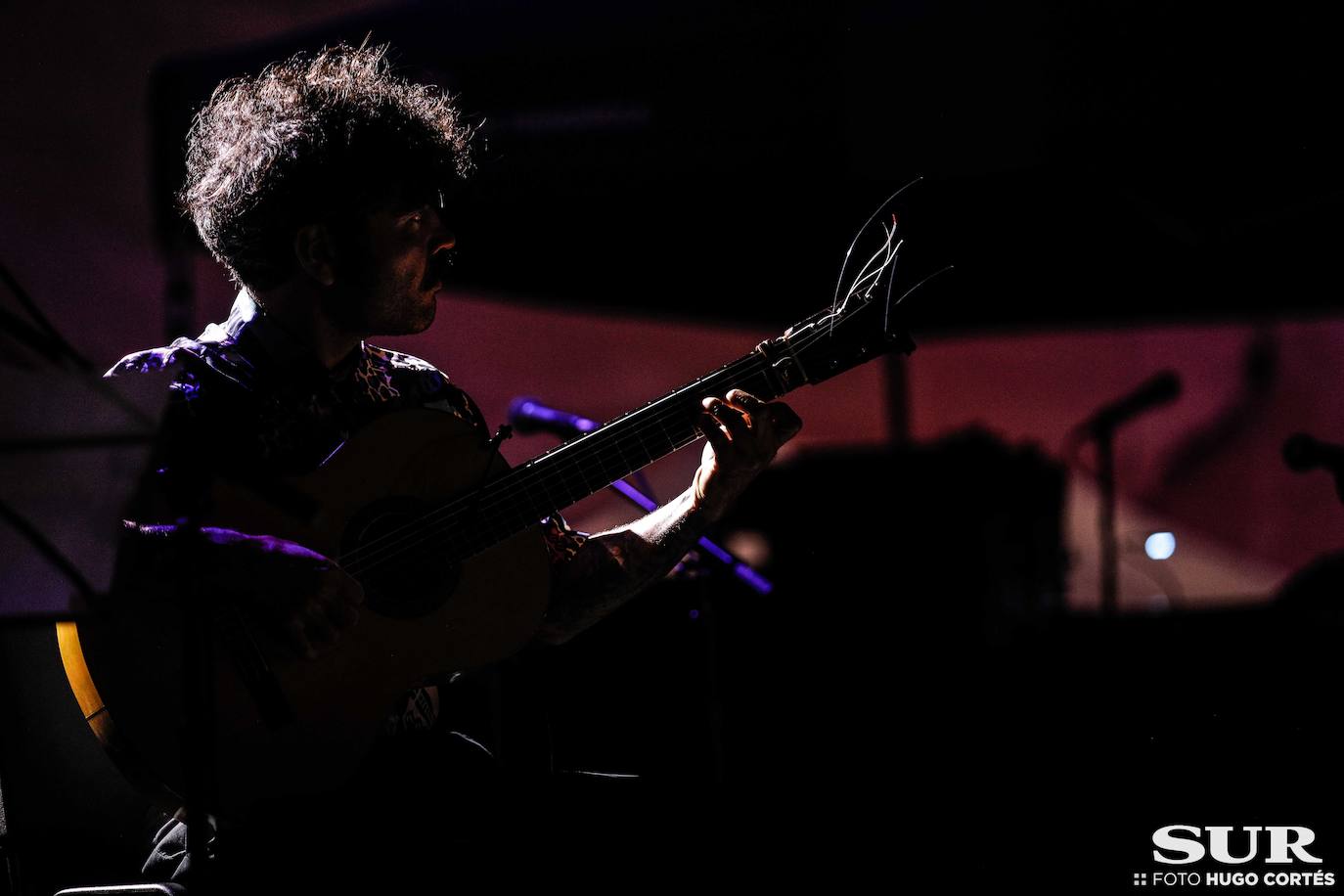 Fotos: Conciertos de Alba Molina y Lin Cortés en el Castillo Sohail