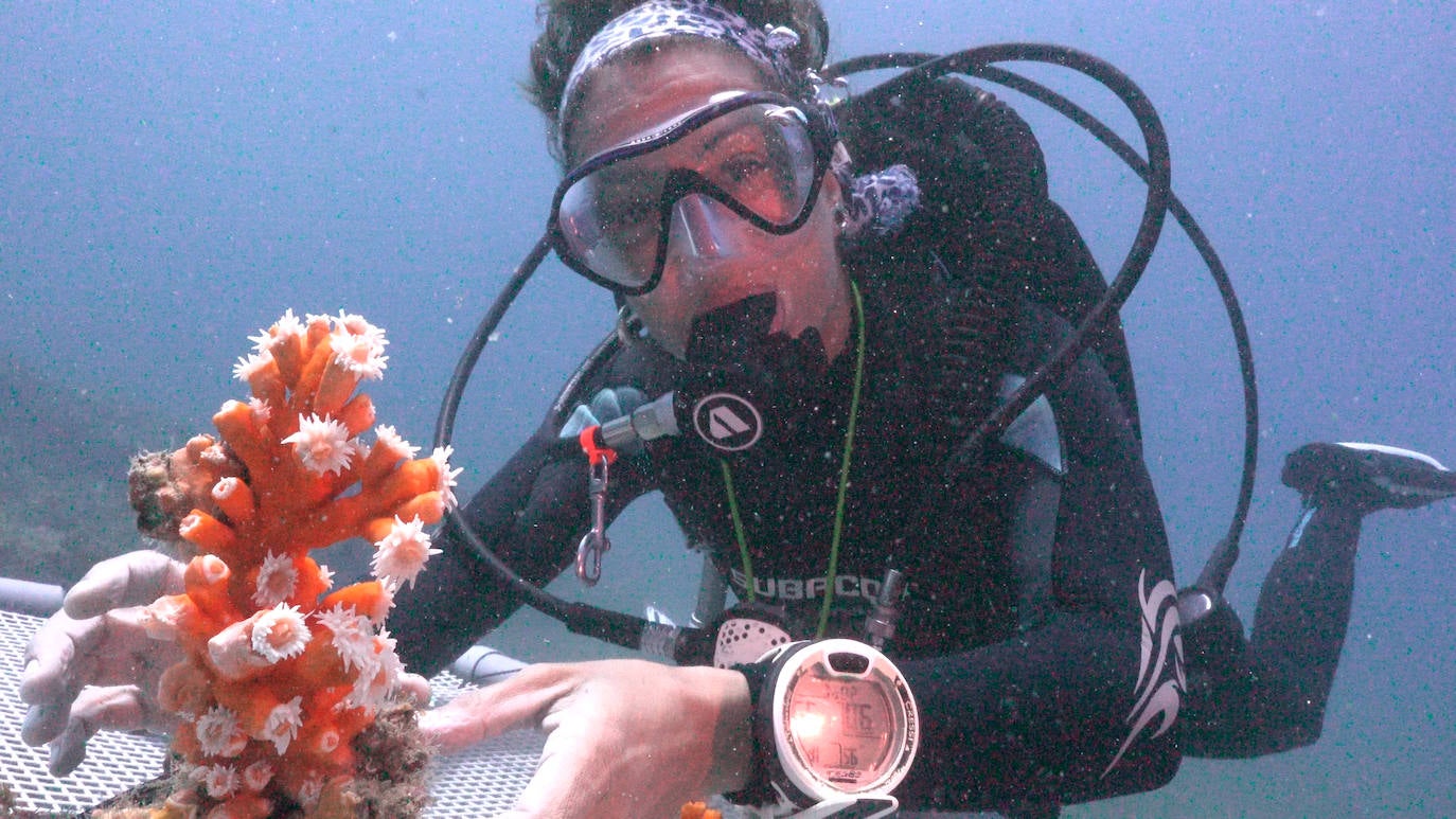 Fotos: Limpieza de los fondos marinos de Málaga para conservar los corales