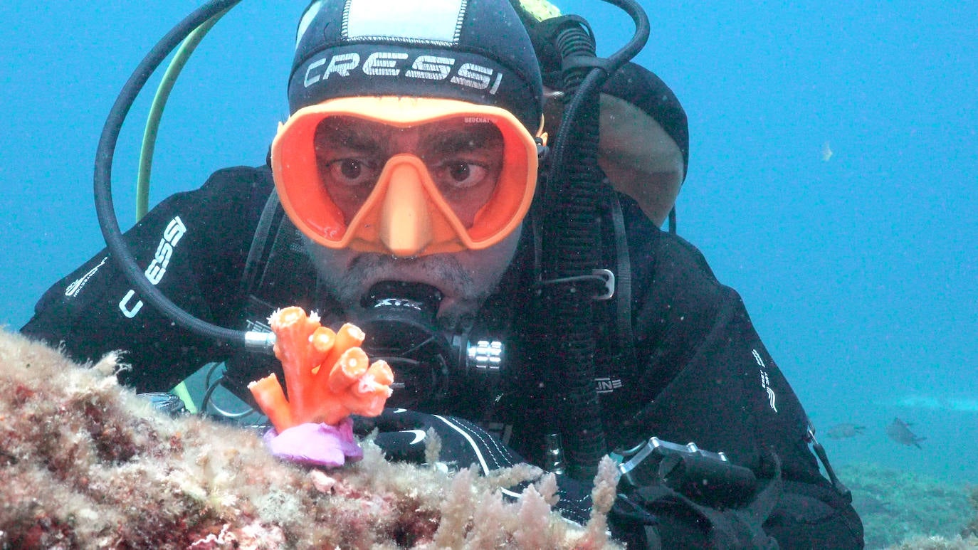 Fotos: Limpieza de los fondos marinos de Málaga para conservar los corales