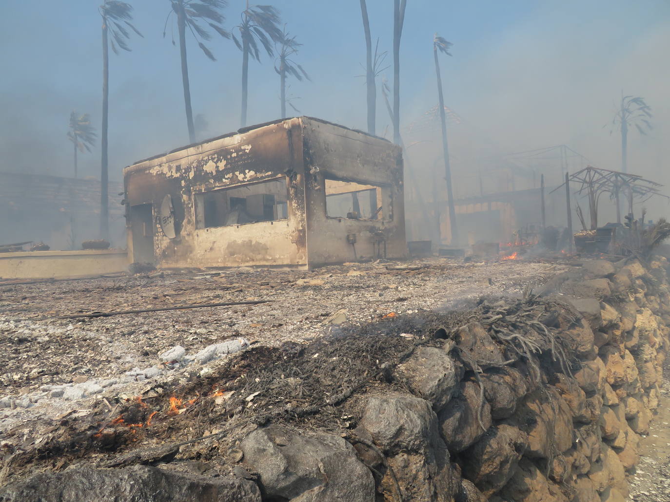 Efectivos del Plan Infoca y del Consorcio Provincial de Bomberos trabajan en la zona