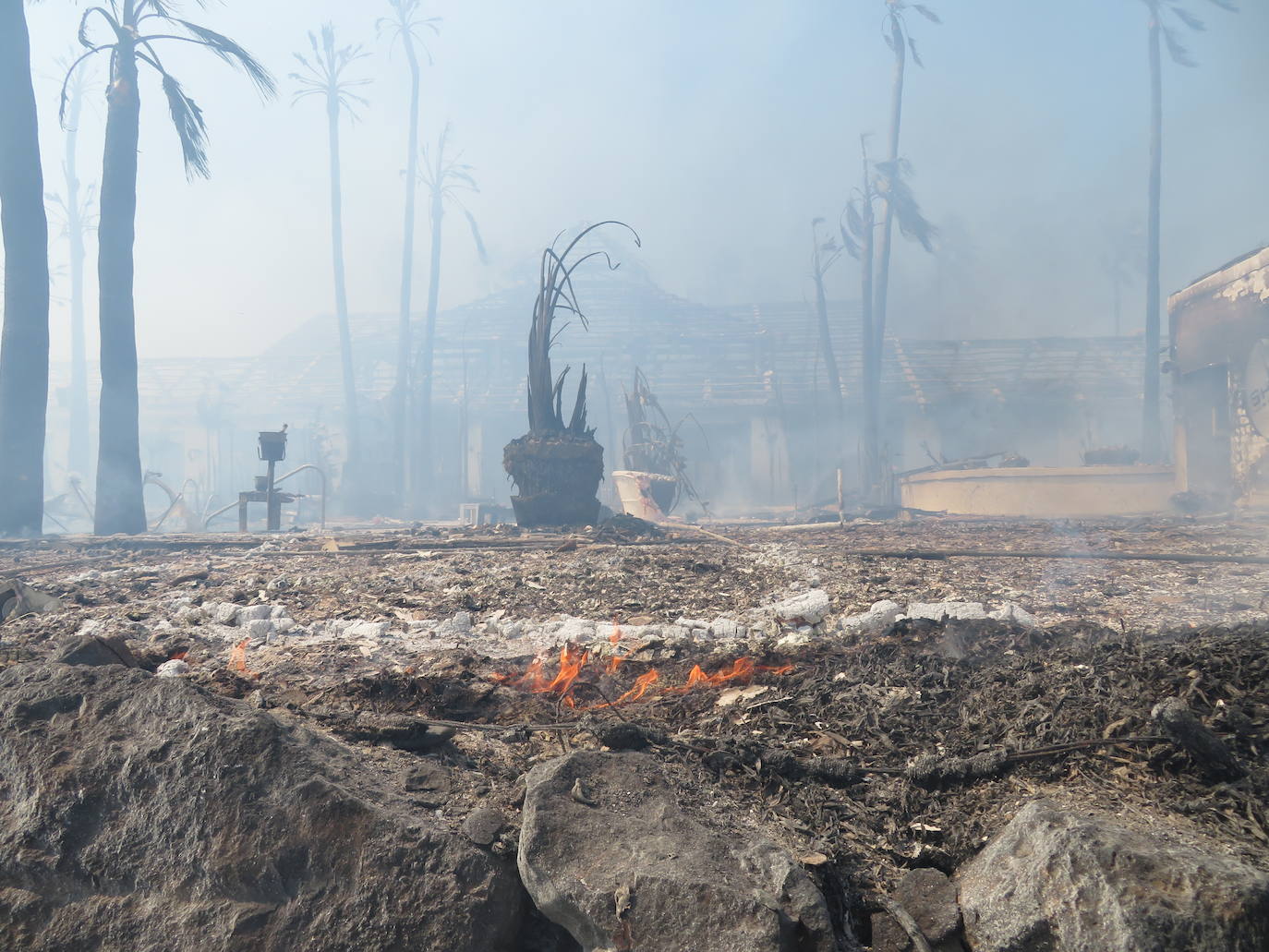 Efectivos del Plan Infoca y del Consorcio Provincial de Bomberos trabajan en la zona