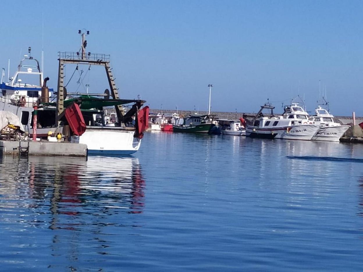 Barcos de arrastre en el puerto de Caleta de Vélez. 