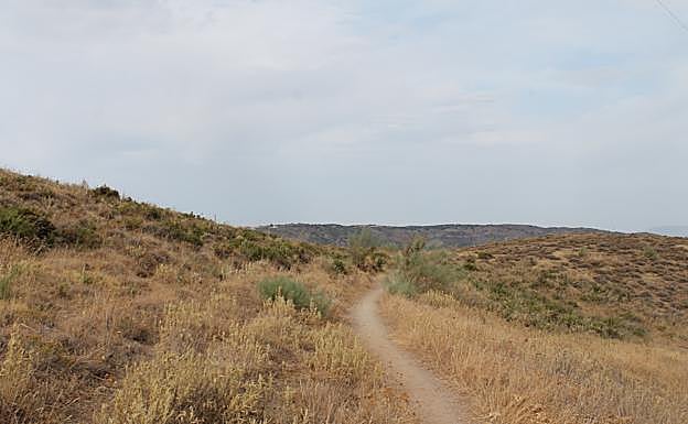 Imagen principal - Senda estrecha por la que se abandona el carril de tierra. Este camino llega hasta el cauce del río de la Villa, donde confluye con otra ruta. 8. Puerta de Málaga y ermita de la Virgen de la Espera.
