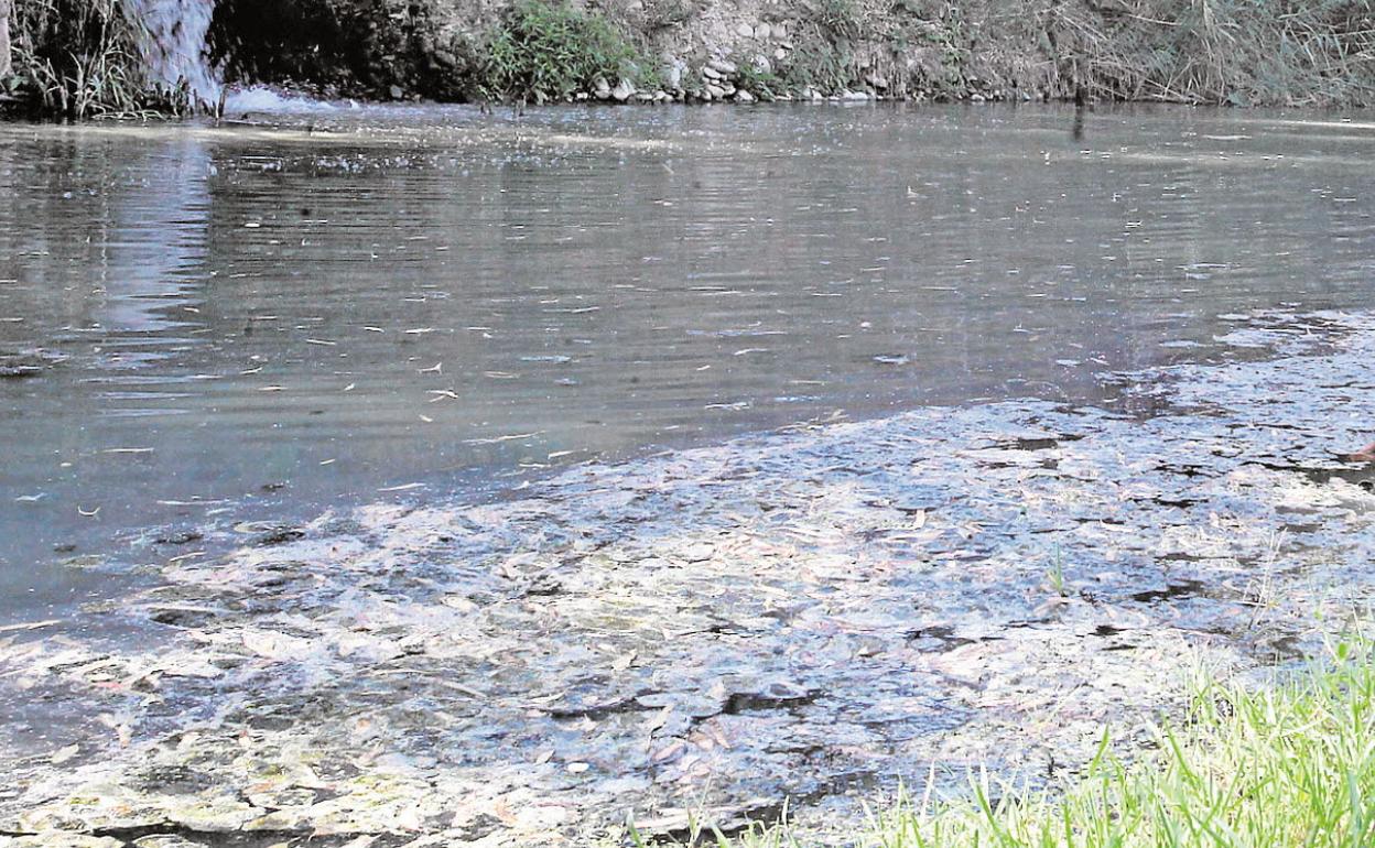 Las aguas residuales sin tratar de Coín y Alhaurín el Grande acaban desembocando en el río Guadalhorce. 