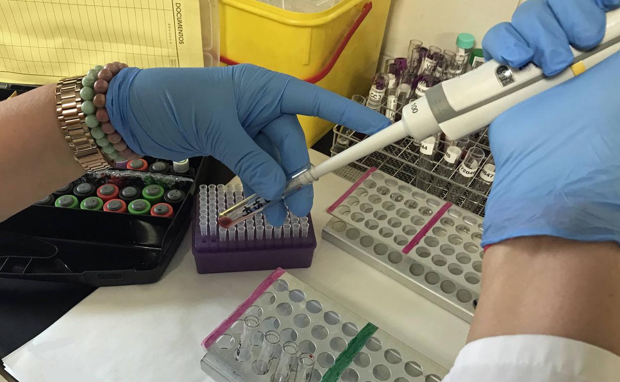 Laboratorio de hematología del Regional. 