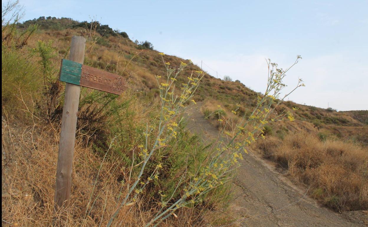 Sendero circular en torno a El Borge.