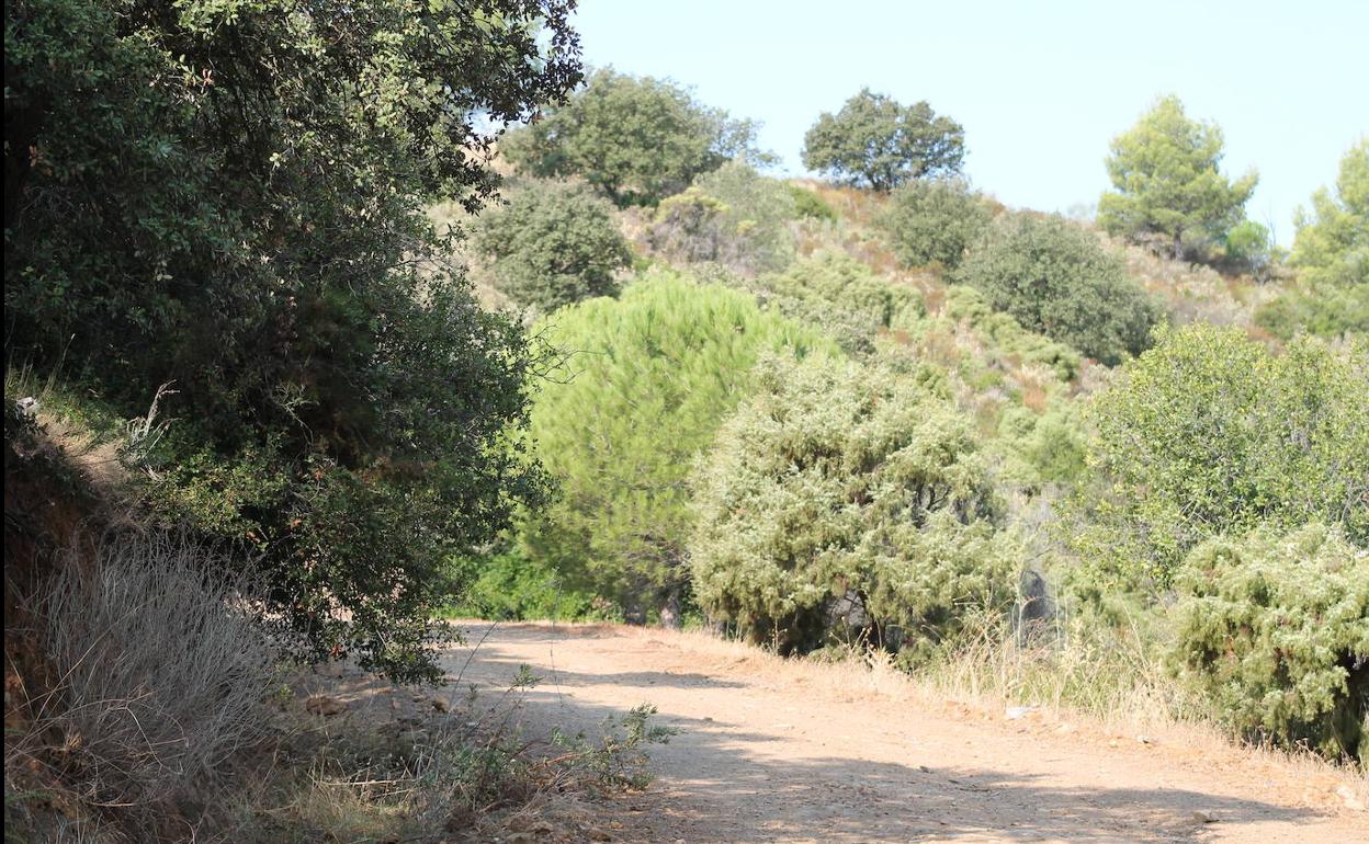 Parte del recorrido va por carril de tierra.